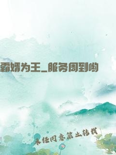 霸婿为王