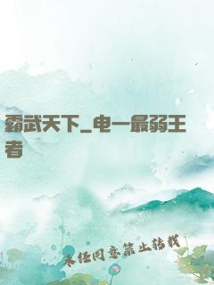 霸武天下