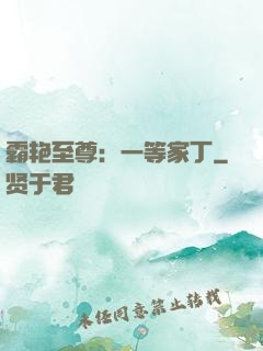 霸艳至尊：一等家丁