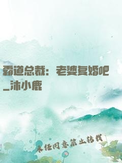 霸道总裁：老婆复婚吧