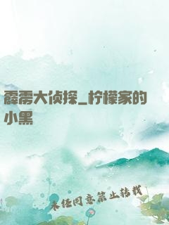霹雳大侦探