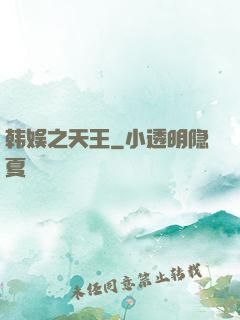 韩娱之天王