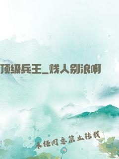 顶级兵王