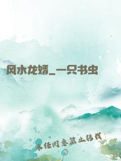 风水龙婿