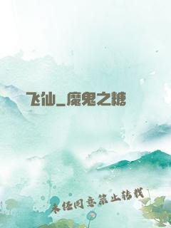 飞仙