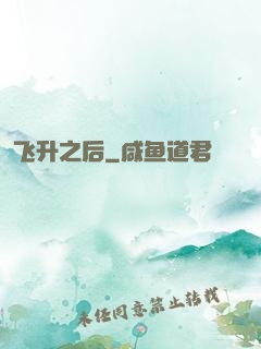 飞升之后