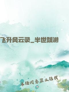 飞升风云录