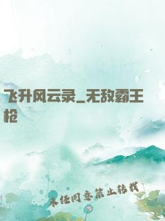 飞升风云录