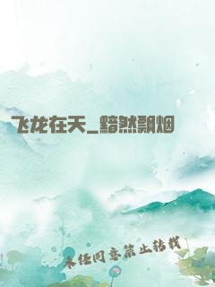 飞龙在天