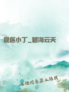 食医小丁