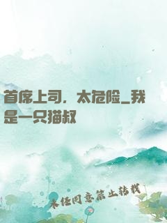 首席上司，太危险