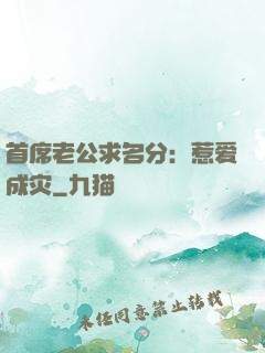 首席老公求名分：惹爱成灾