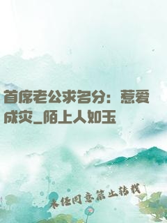 首席老公求名分：惹爱成灾