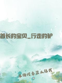 首长的宝贝