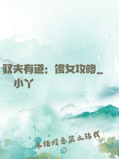 驭夫有道：傻女攻略