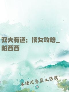 驭夫有道：傻女攻略
