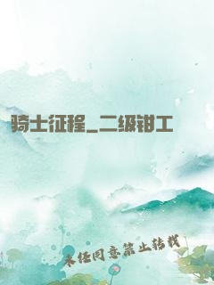 骑士征程