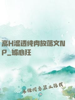 高H湿透纯肉放荡文NP