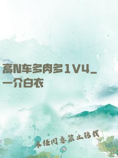 高N车多肉多1V4