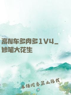 高N车多肉多1V4