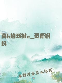 高h拍戏被c