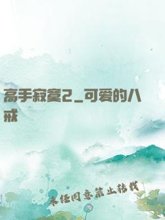 高手寂寞2
