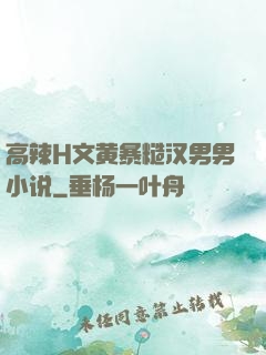 高辣H文黄暴糙汉男男小说
