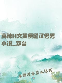 高辣H文黄暴糙汉男男小说