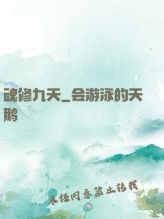 魂修九天