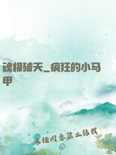 魂极破天