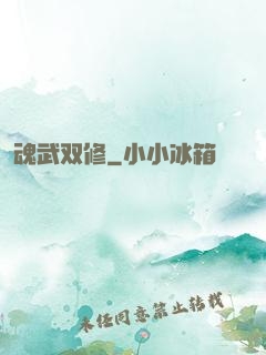 魂武双修