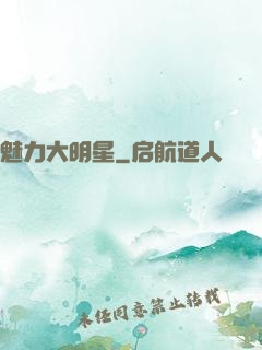 魅力大明星