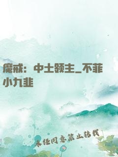 魔戒：中土领主