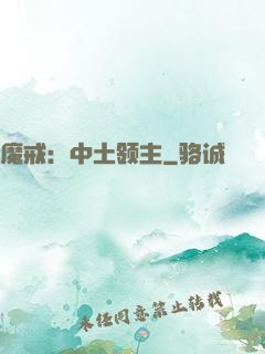 魔戒：中土领主