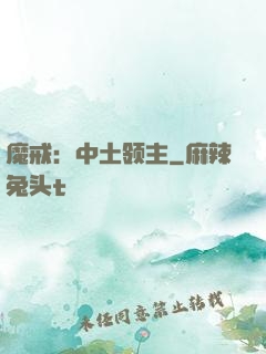 魔戒：中土领主