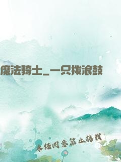 魔法骑士