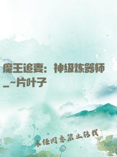 魔王追妻：神级炼器师