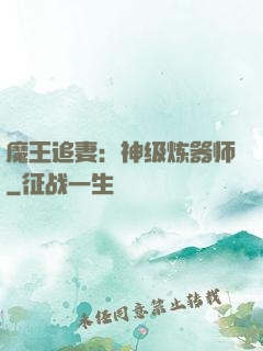魔王追妻：神级炼器师