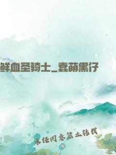 鲜血圣骑士