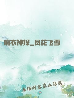麻衣神探