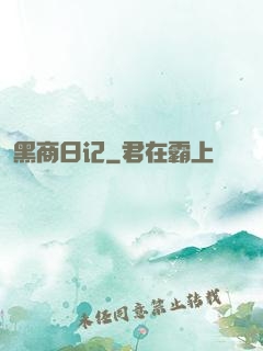 黑商日记