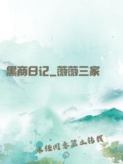 黑商日记