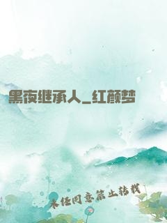 黑夜继承人