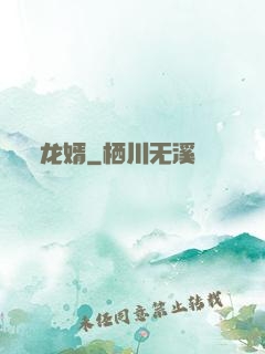 龙婿