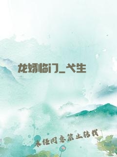 龙婿临门