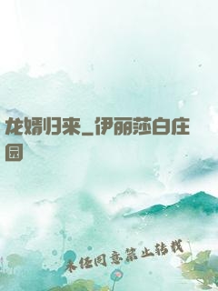 龙婿归来