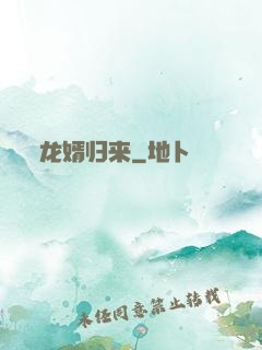 龙婿归来