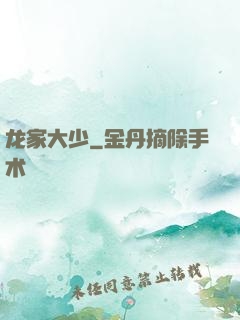 龙家大少