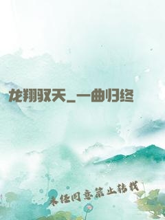 龙翔驭天