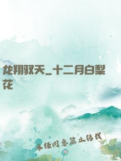 龙翔驭天